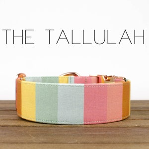 The Tallulah Dog Collar image 1