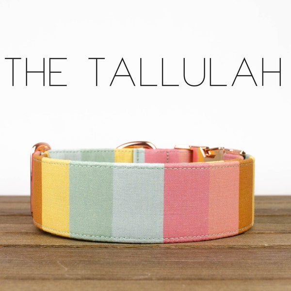 The Tallulah - Dog Collar