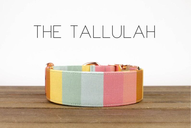 The Tallulah Dog Collar image 1