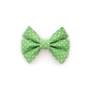 Bolinhas Verdes - Laço Feminino