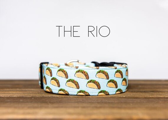 taco dog collar