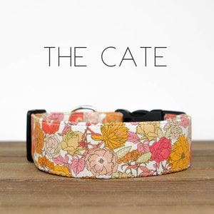 The Cate - Dog Collar