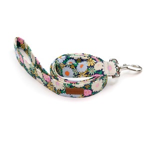Daisy - Leash