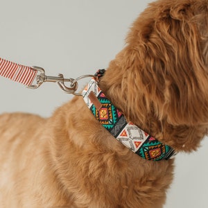 Any Dog Collar Leash Package please note the patterns of your choice at checkout image 7