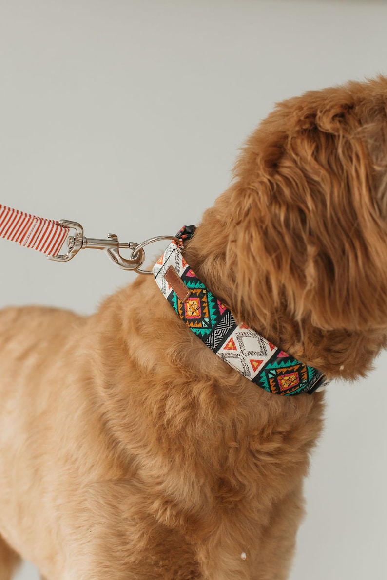 Any Dog Collar Leash Package please note the patterns of your choice at checkout image 7