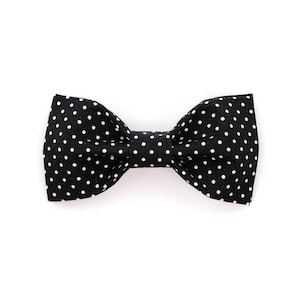Black Polka Dot - Bowtie