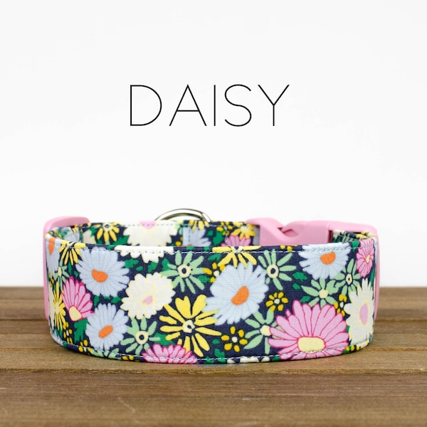 Daisy - Dog Collar