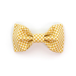 The Benny - Bowtie