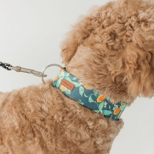 Any Dog Collar Leash Package please note the patterns of your choice at checkout image 5
