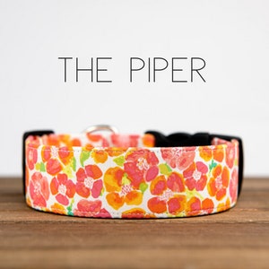 The Piper - Dog Collar