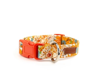 The Darla- Dog Collar