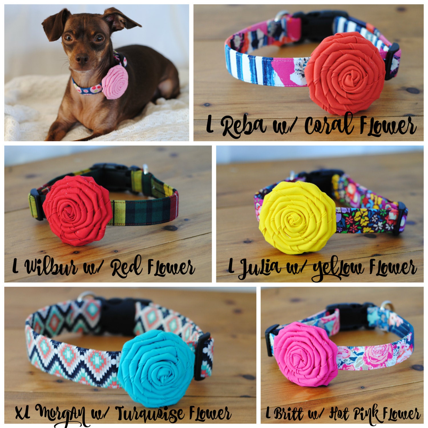Colorful Dog Collar Flowers can be attached to any dog collar