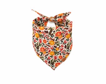 The Simmer - Dog Bandana