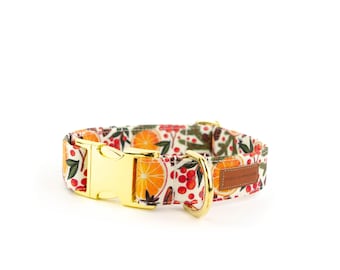 The Simmer - Dog Collar