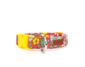 The Melody - Dog Collar