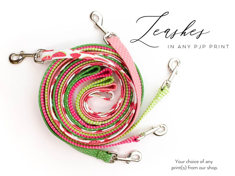 What Are Dog Leashes Made Of