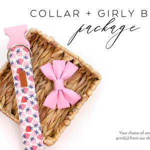 Any Dog Collar + Girly Bow Package