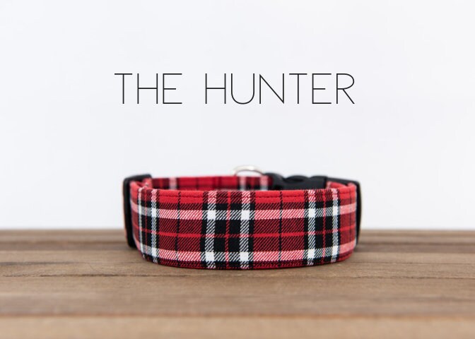 dapper dog collars