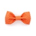 see more listings in the Bowties section