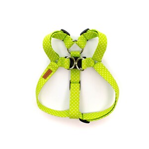 May include: A green dog harness with white polka dots. The harness has two metal D-rings and adjustable straps.