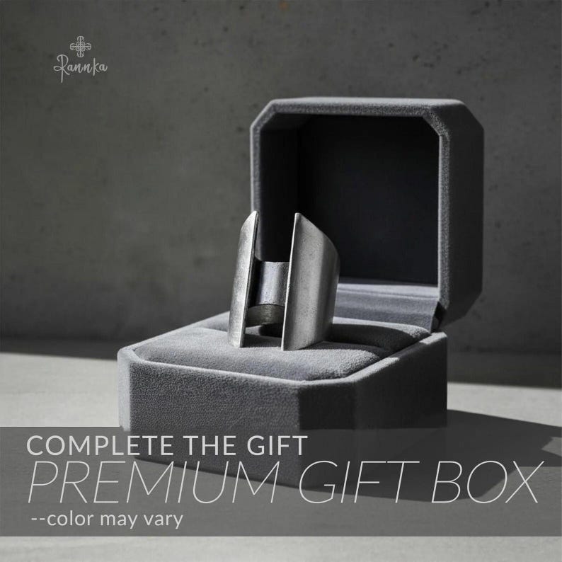 Split Band Ring Set Brushed Metal Ring Architectural Bold Jewelry Statement Tall Ring Elegant Statement Ring Modern Gift Casual to Formal Plated + Gift Box