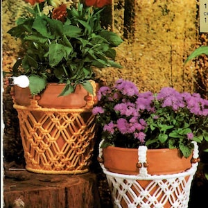 May include: Two potted plants with macrame plant hangers. The plant on the left has red flowers and a yellow macrame hanger. The plant on the right has purple flowers and a white macrame hanger.
