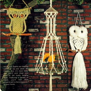 May include: Three macrame wall hangings, two owls and a plant hanger. The owls are green and white, the plant hanger is white. The background is a brick wall.