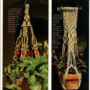 May include: Two macrame plant hangers, one with red beads and one with natural sisal. The text "Driftwood Rhapsody" is visible in the image.
