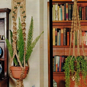 May include: Two macrame plant hangers with wooden beads and tassels. The hangers are made of natural jute rope and are hanging from the ceiling. The plant hangers are holding potted plants.