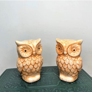 Vintage Owl Salt & Pepper Shakers - Groovy 1970&#39;s Owl Salt and Pepper Set - Vintage Kitchen - Collectible