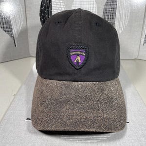 Vintage Diamondbacks Hat Black Purple Strapback American Needle Cap 90’s