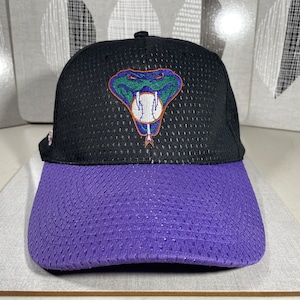 Vintage Diamondbacks Hat Purple Black Mesh Snake Quepasa.com Rare Snapback Cap 90’s