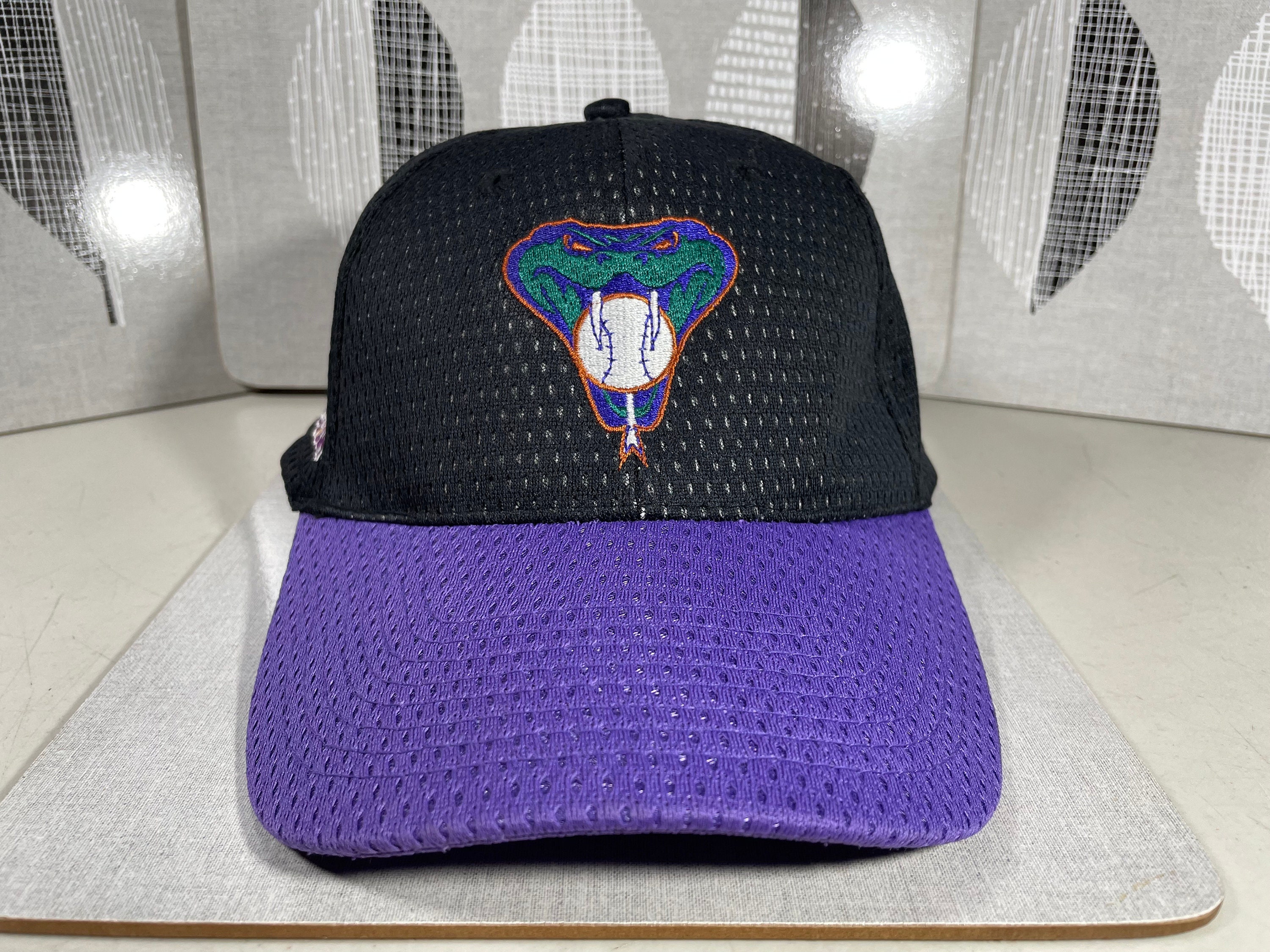Vintage Diamondbacks Hat Purple Black Mesh Snake Quepasa.com