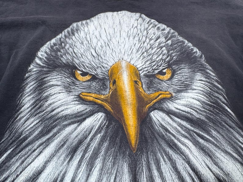 May include: Close-up graphic of an eagle's head. The eagle features white and grey feathers, a yellow beak, and intense yellow eyes. The background is a dark grey colour.