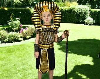 Kid's Egypt Costumes Set, Ancient Pharaoh King Outfit, Egyptian Halloween Cosplay, Historical Pharaoh costume, Larp costume, Fancy costume