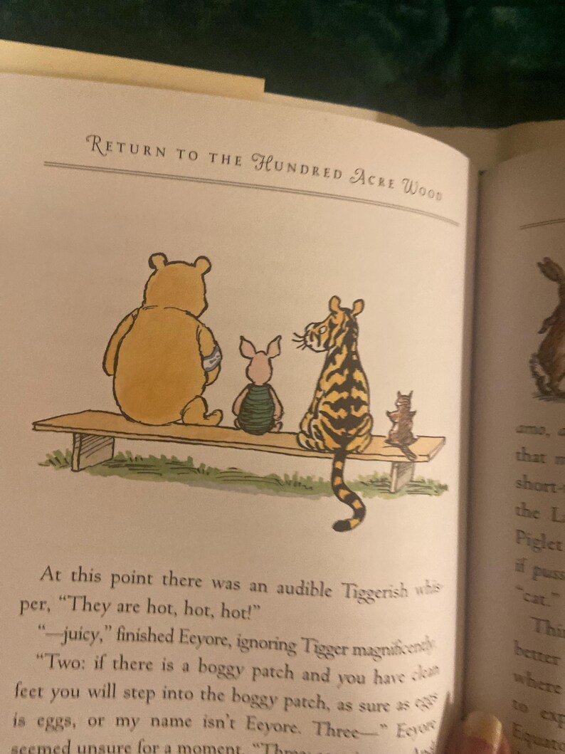 Pode incluir: Winnie the Pooh, Leit&atilde;o e Tigr&atilde;o est&atilde;o sentados em um banco de madeira. Tigr&atilde;o diz: "Est&atilde;o quentes, quentes, quentes!"  Burrico responde: "-suculentos." O texto na p&aacute;gina diz: "Retorno para a Floresta dos Cem Acres."