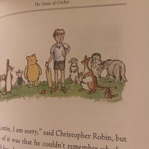 Pode incluir: Um grupo de animais de pel&uacute;cia jogando cr&iacute;quete com um menino pequeno. Os animais incluem um urso, um coelho, um canguru, um texugo e um esquilo. O menino est&aacute; segurando um taco de cr&iacute;quete e h&aacute; uma bola vermelha no ch&atilde;o.