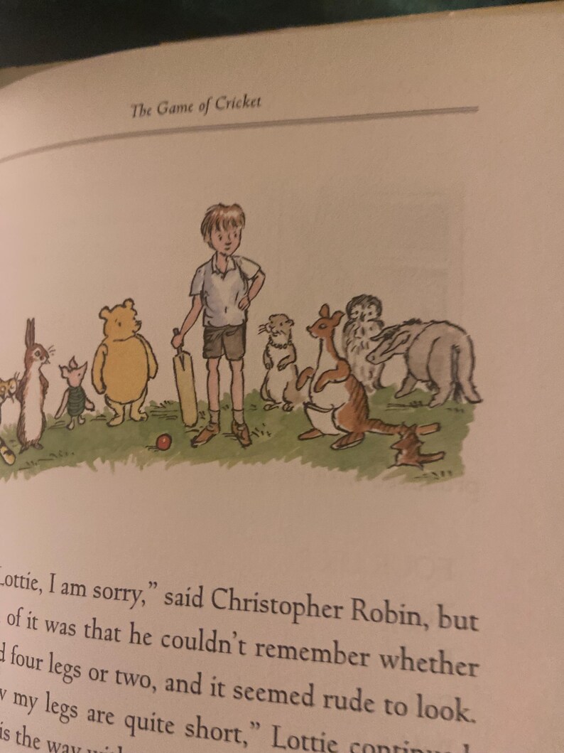 Pode incluir: Um grupo de animais de pel&uacute;cia jogando cr&iacute;quete com um menino pequeno. Os animais incluem um urso, um coelho, um canguru, um texugo e um esquilo. O menino est&aacute; segurando um taco de cr&iacute;quete e h&aacute; uma bola vermelha no ch&atilde;o.