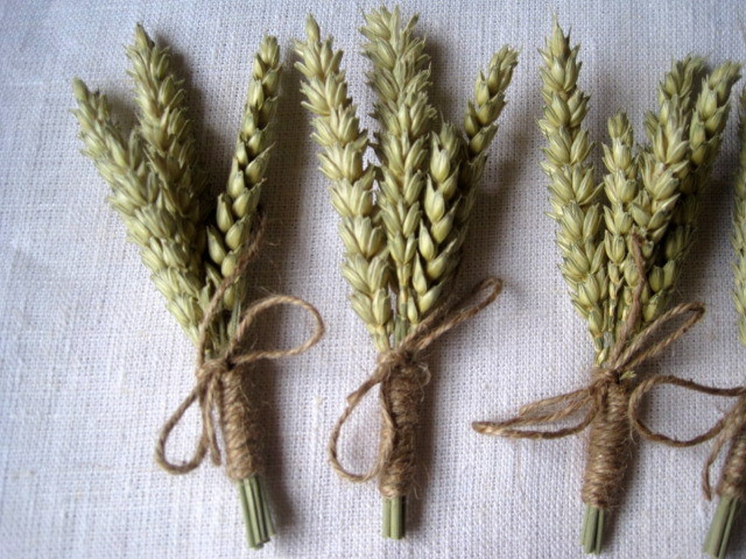 Wheat Buttonhole Set of 6 Harvest Boutonnieres Rustic Wedding Men Wedding Buttonhole Groom