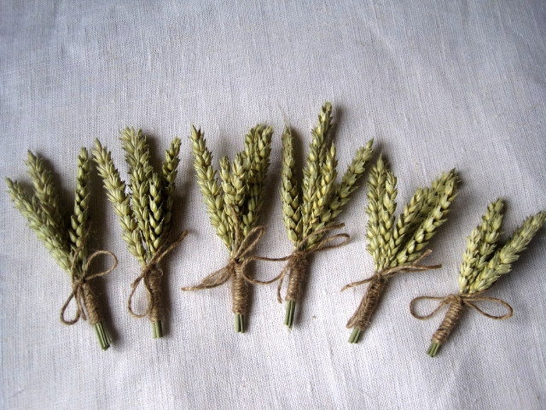 Wheat Buttonhole set of 6 harvest boutonnieres rustic Etsy