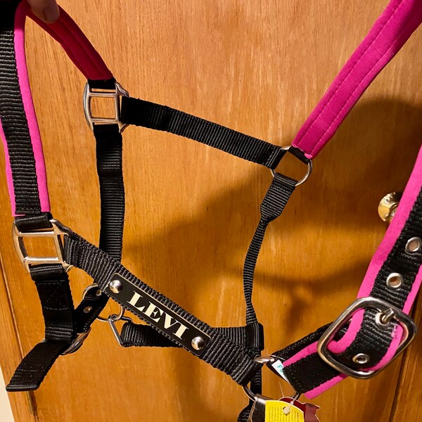 Custom Horse Halter Etsy
