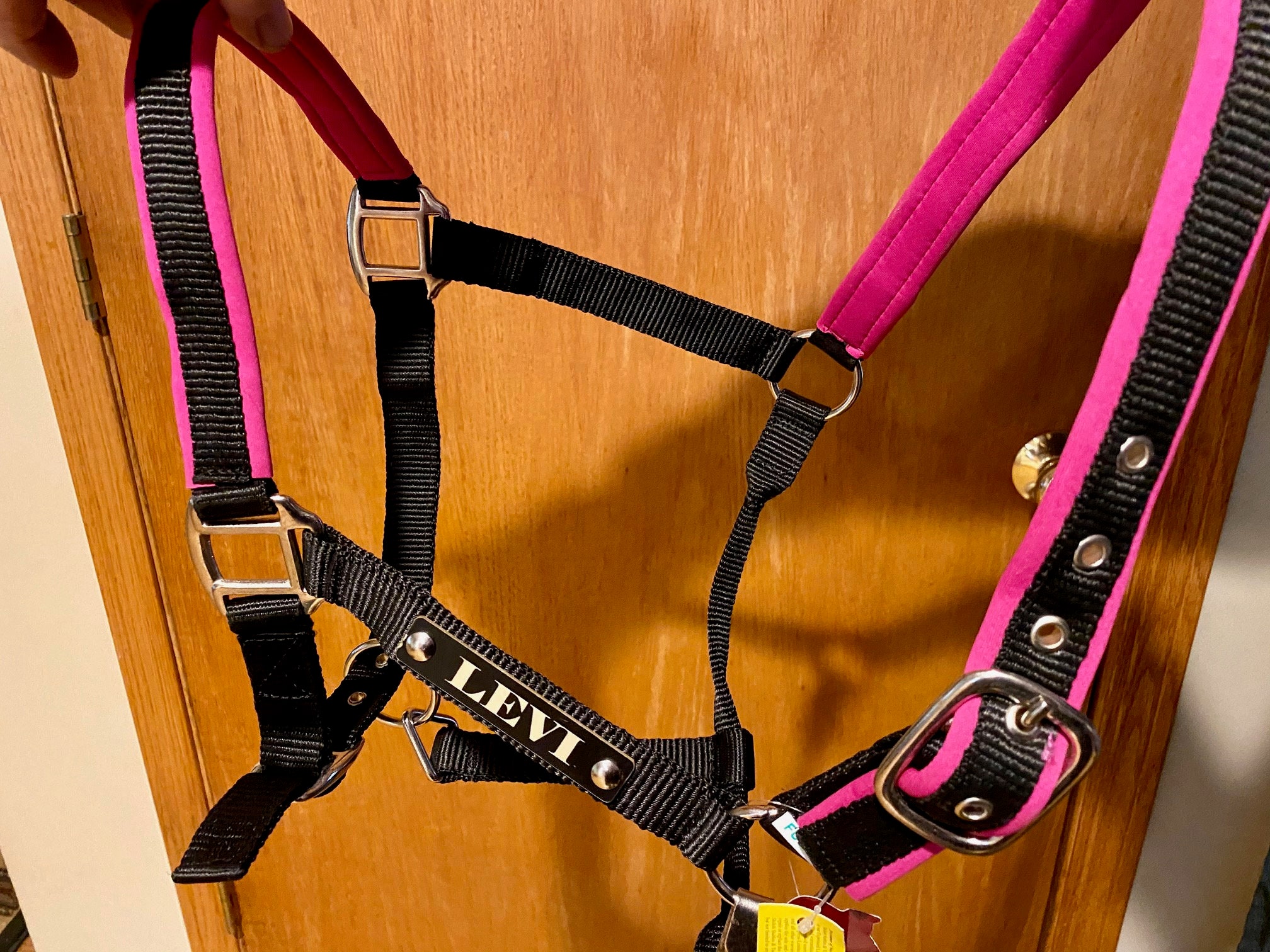 Padded Raspberry Pink Horse Halter with Personalized Laser Etsy.de
