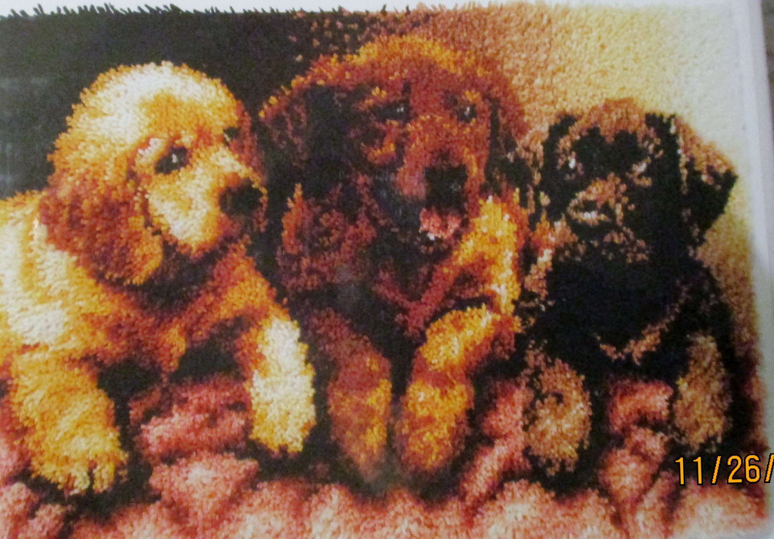 Caron Wonderart Latch Hook Kit Lab Puppies Instructions on Sale head