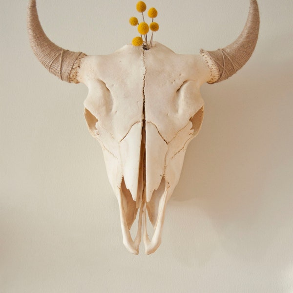 Buffalo Skull with woven horn cover