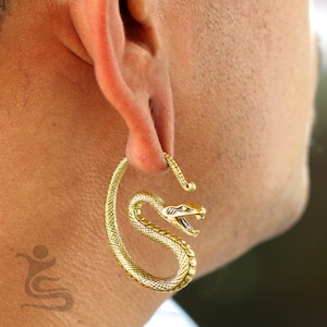Ear Weights IW 004