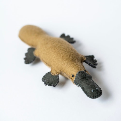 platypus sewing pattern