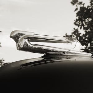 Fine Art Photo - 1940 Cadillac Hood Ornament