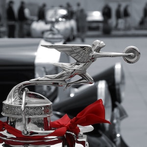 1929 Packard hood ornament - Fine Art Photo