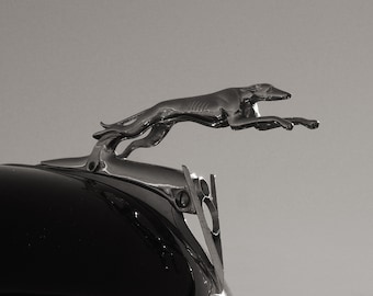 Fine Art Photo - Vintage Ford Hood Ornament