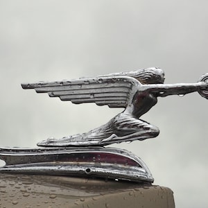 Fine Art Photo - 1936 Packard Hood Ornament